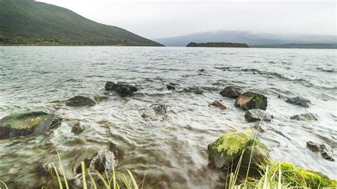 Simplified fishing licences for Lake Rotoaira: Taupō Fishery.